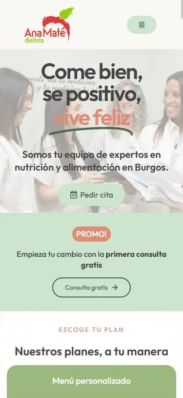 Web de Ana Maté en el móvil
